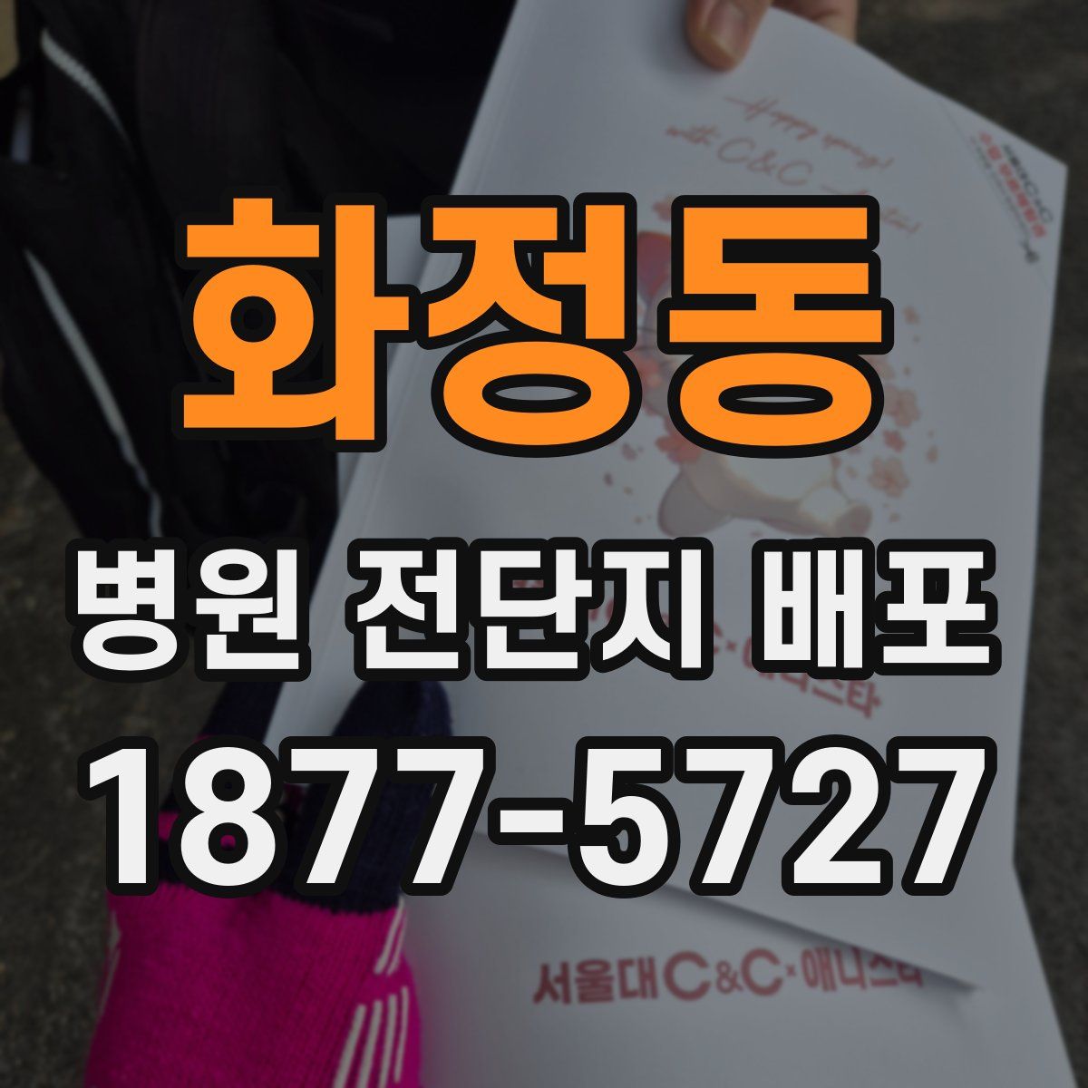 화정동 병원 전단지 배포