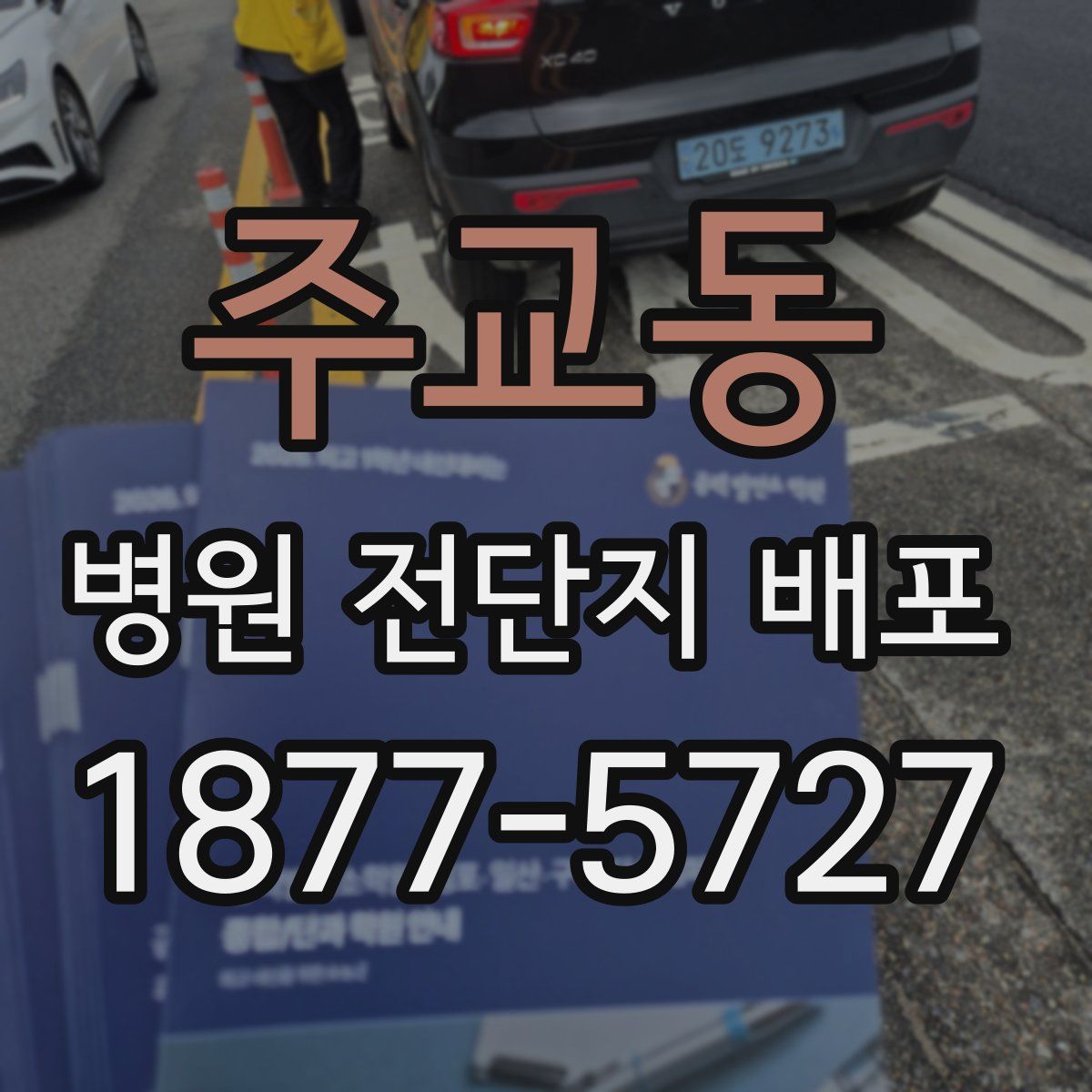 주교동 병원 전단지 배포
