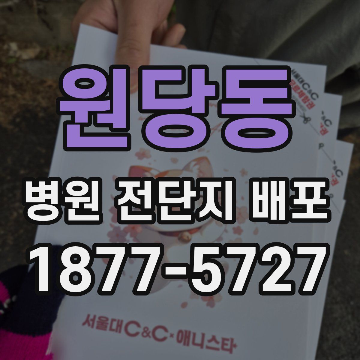 원당동 병원 전단지 배포