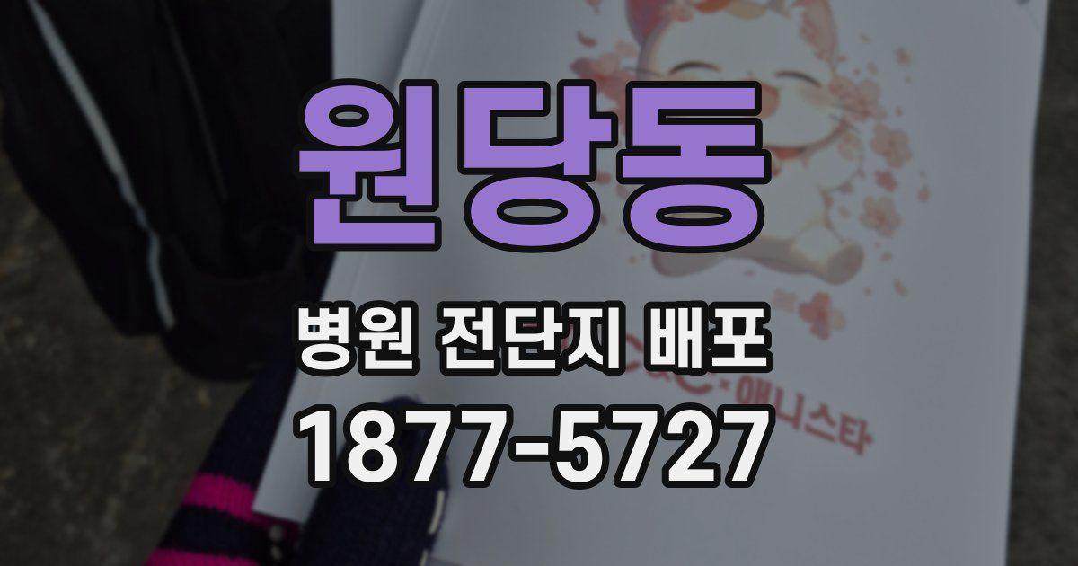 원당동 병원 전단지 배포