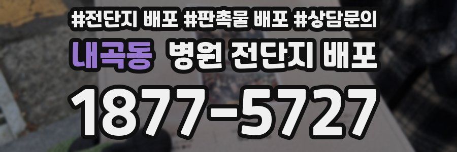 내곡동 병원 전단지 배포