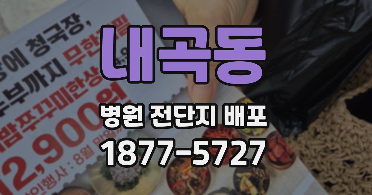 내곡동 병원 전단지 배포