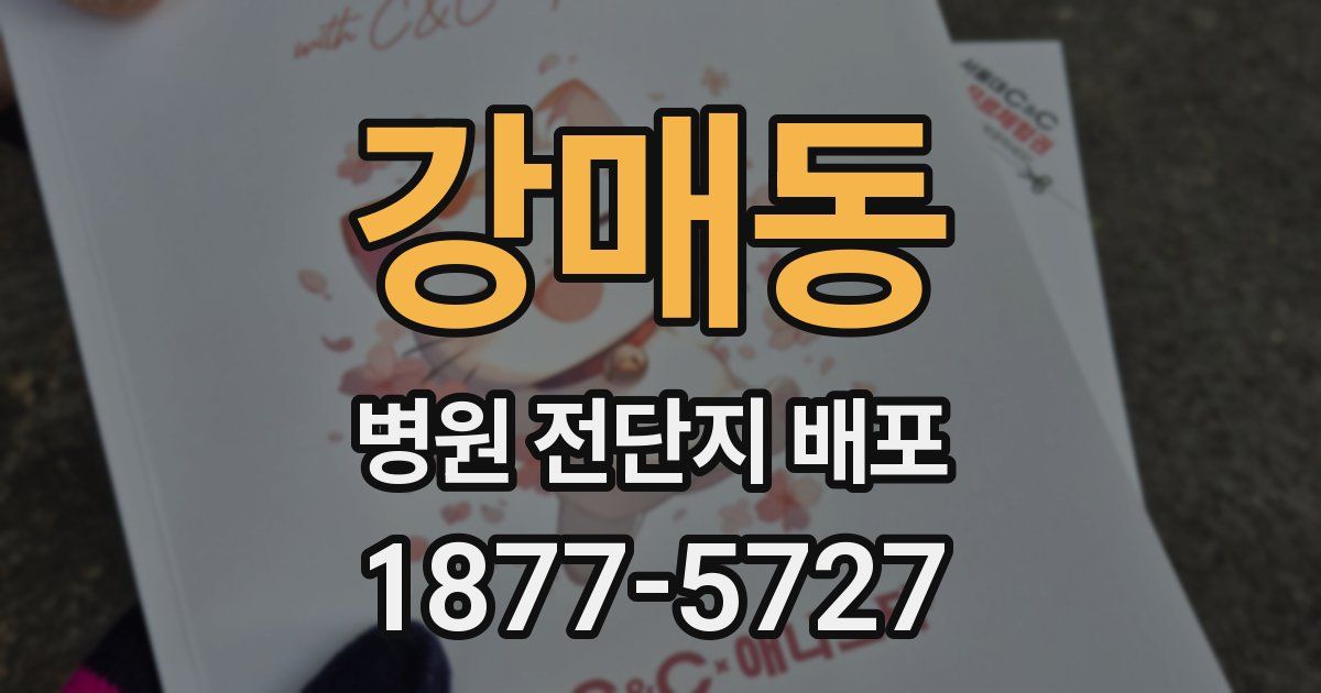 강매동 병원 전단지 배포