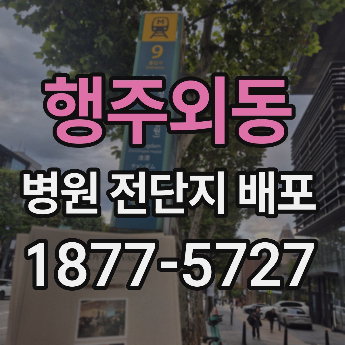 행주외동 병원 전단지 배포