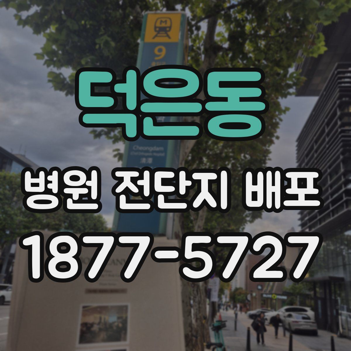 덕은동 병원 전단지 배포