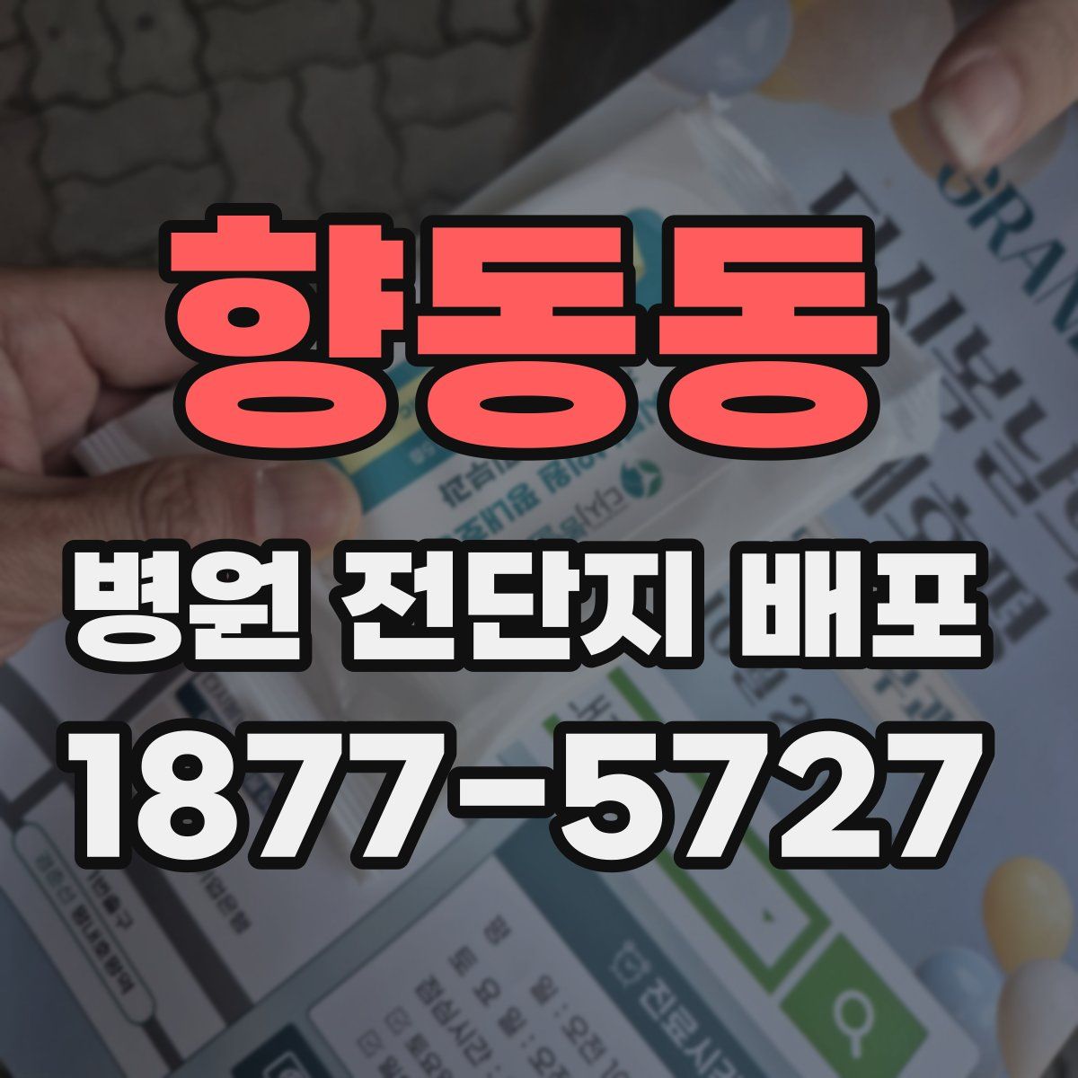 향동동 병원 전단지 배포