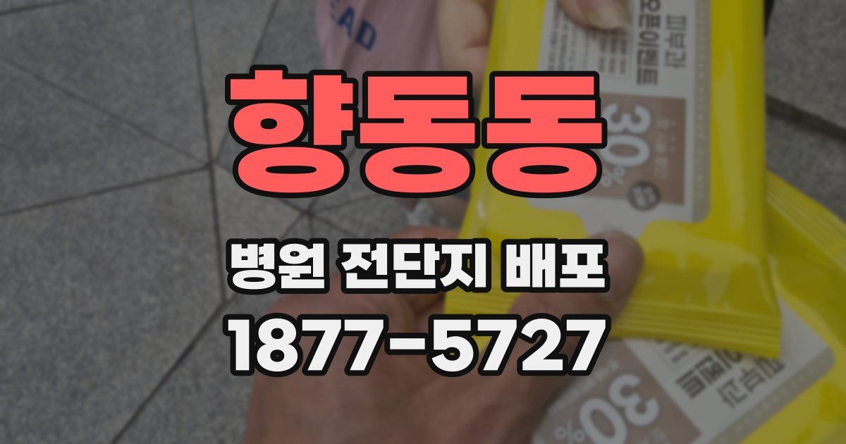 향동동 병원 전단지 배포
