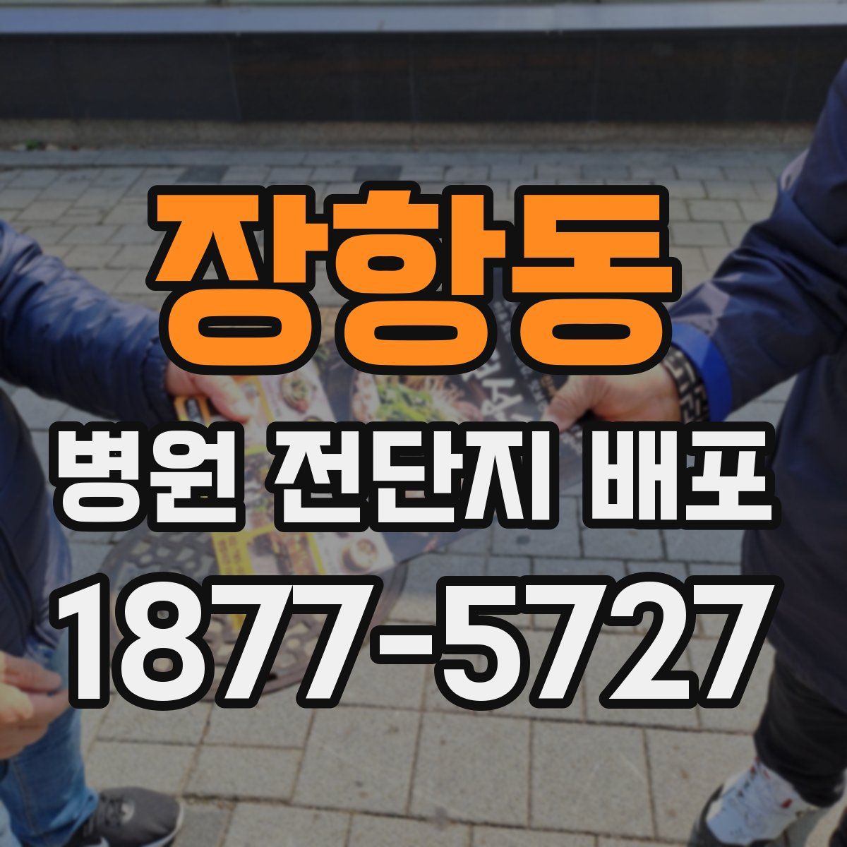 장항동 병원 전단지 배포