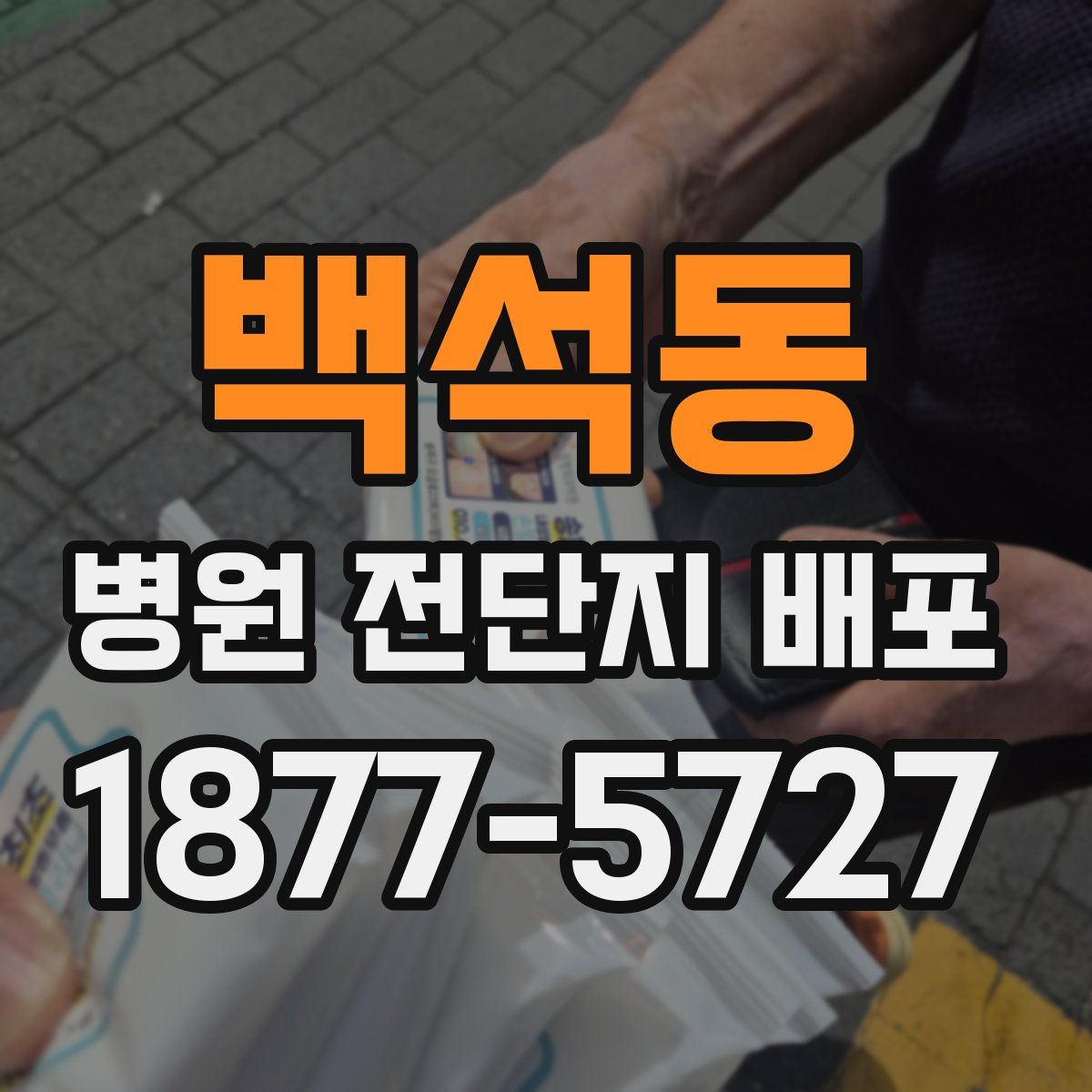 백석동 병원 전단지 배포