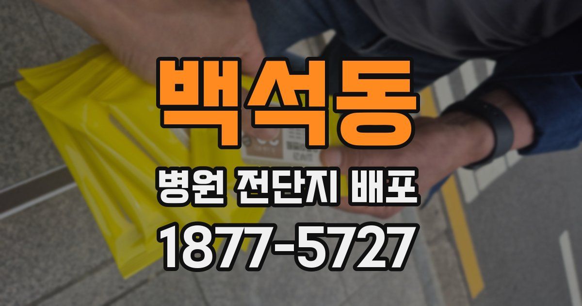 백석동 병원 전단지 배포