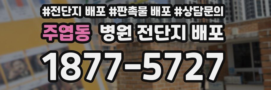 주엽동 병원 전단지 배포