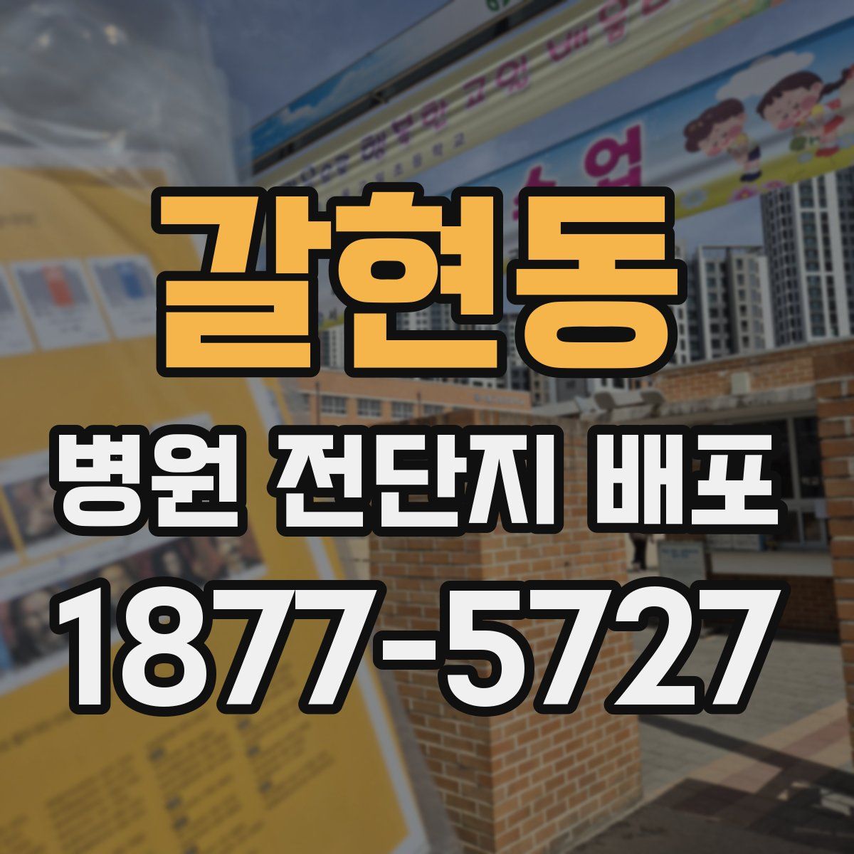 갈현동 병원 전단지 배포