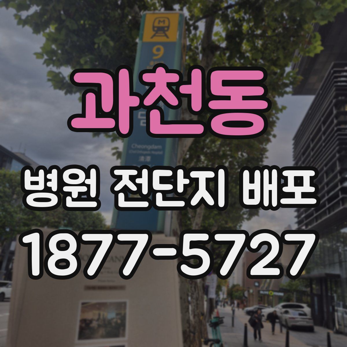 과천동 병원 전단지 배포