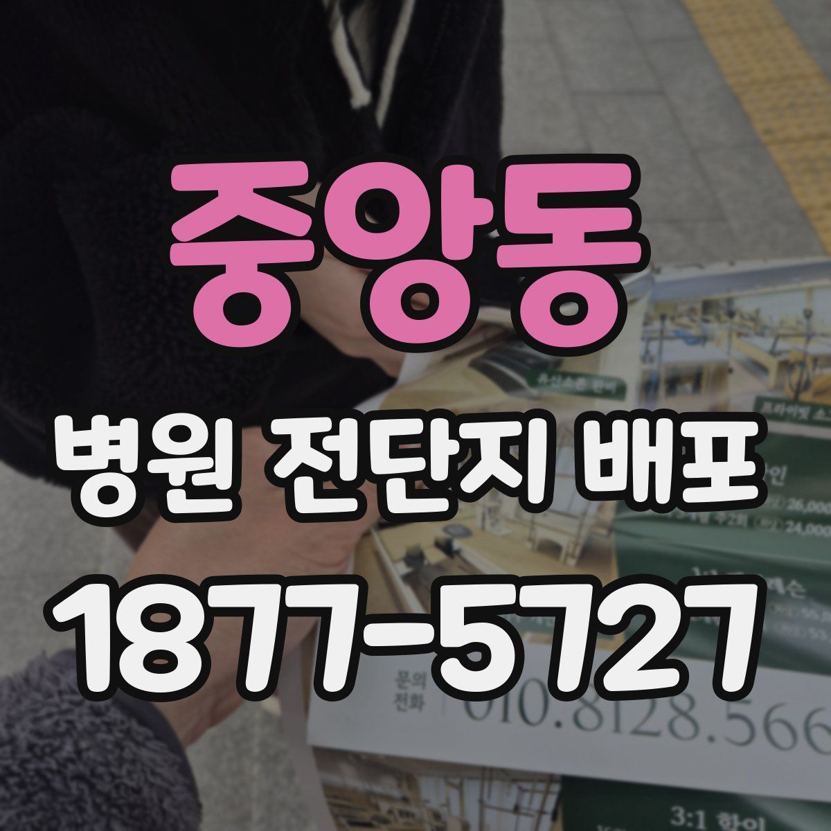 중앙동 병원 전단지 배포