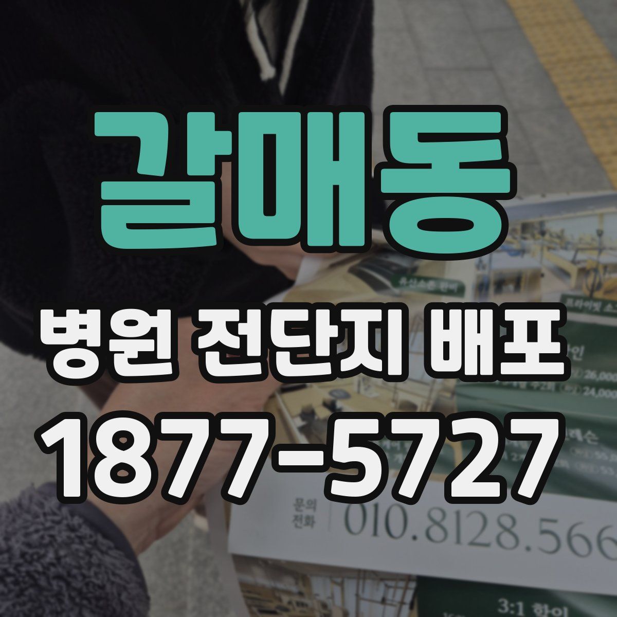 갈매동 병원 전단지 배포
