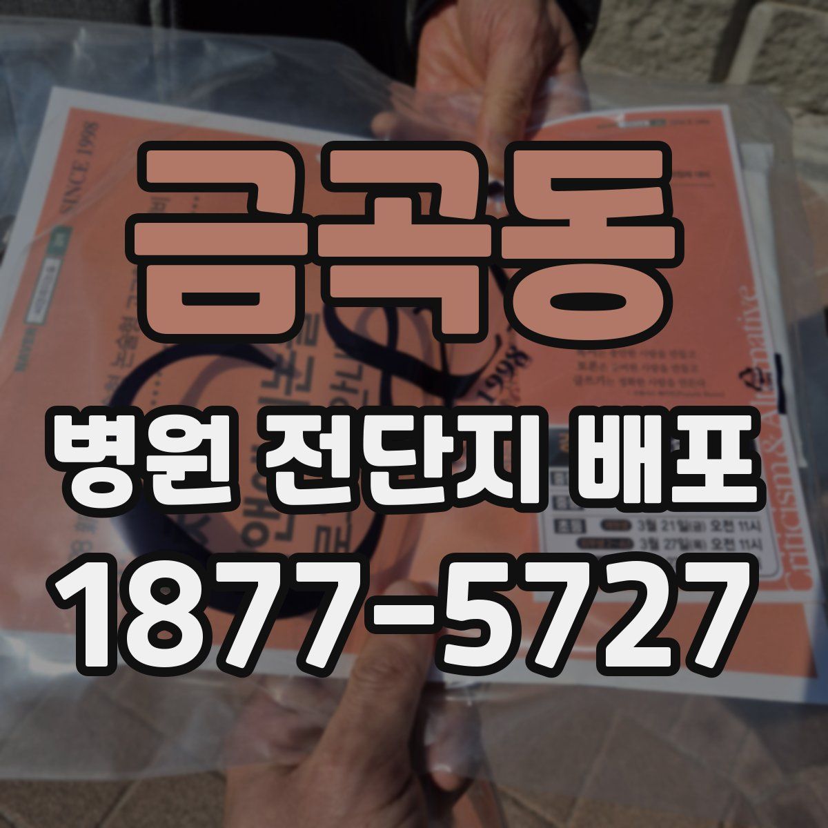 금곡동 병원 전단지 배포