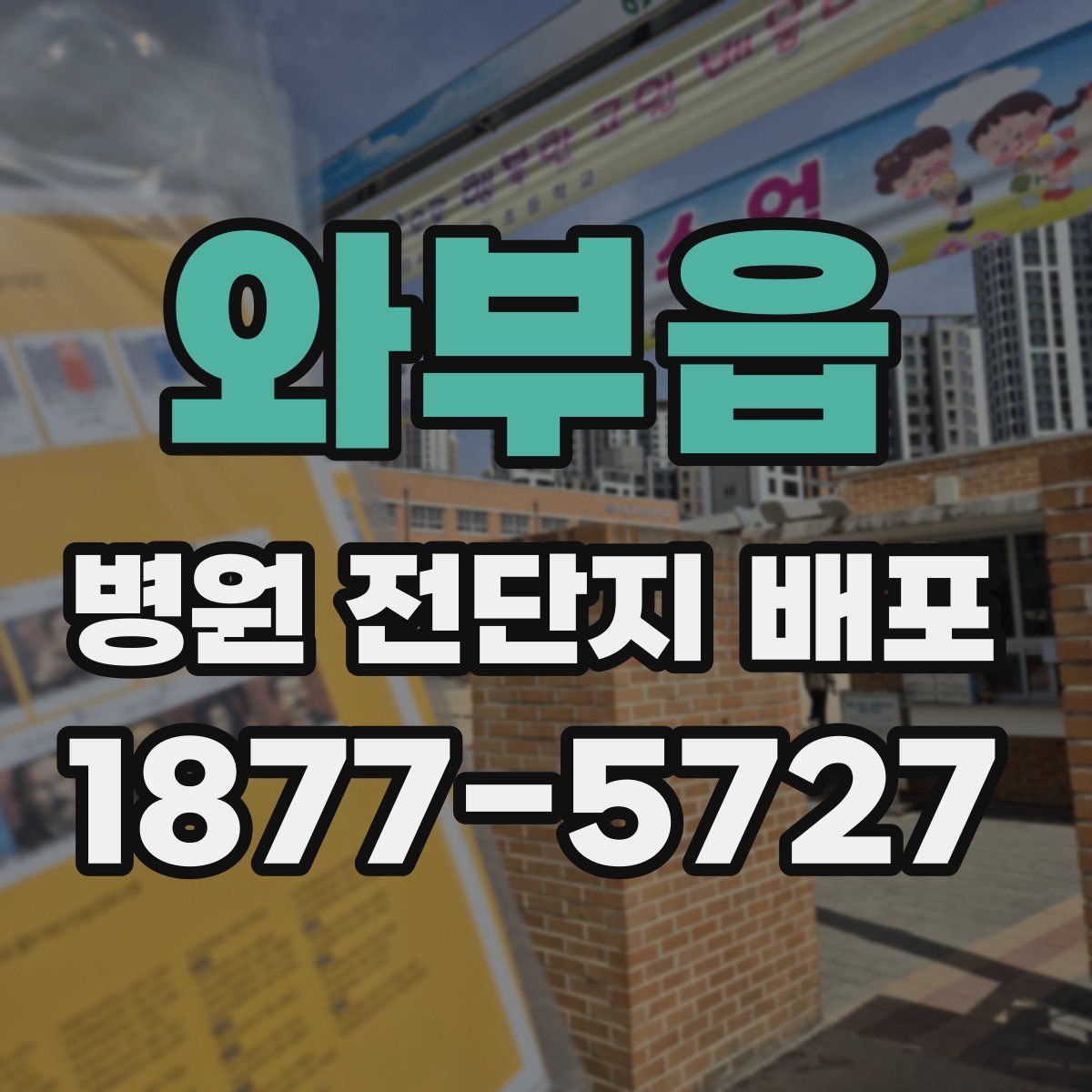 와부읍 병원 전단지 배포