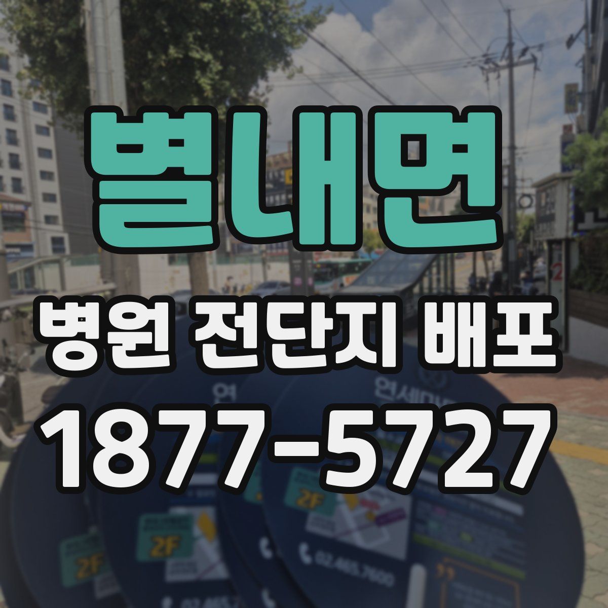 별내면 병원 전단지 배포