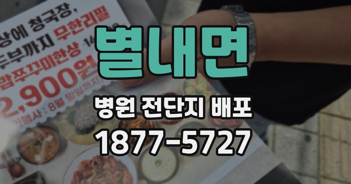 별내면 병원 전단지 배포