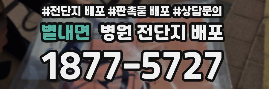 별내면 병원 전단지 배포