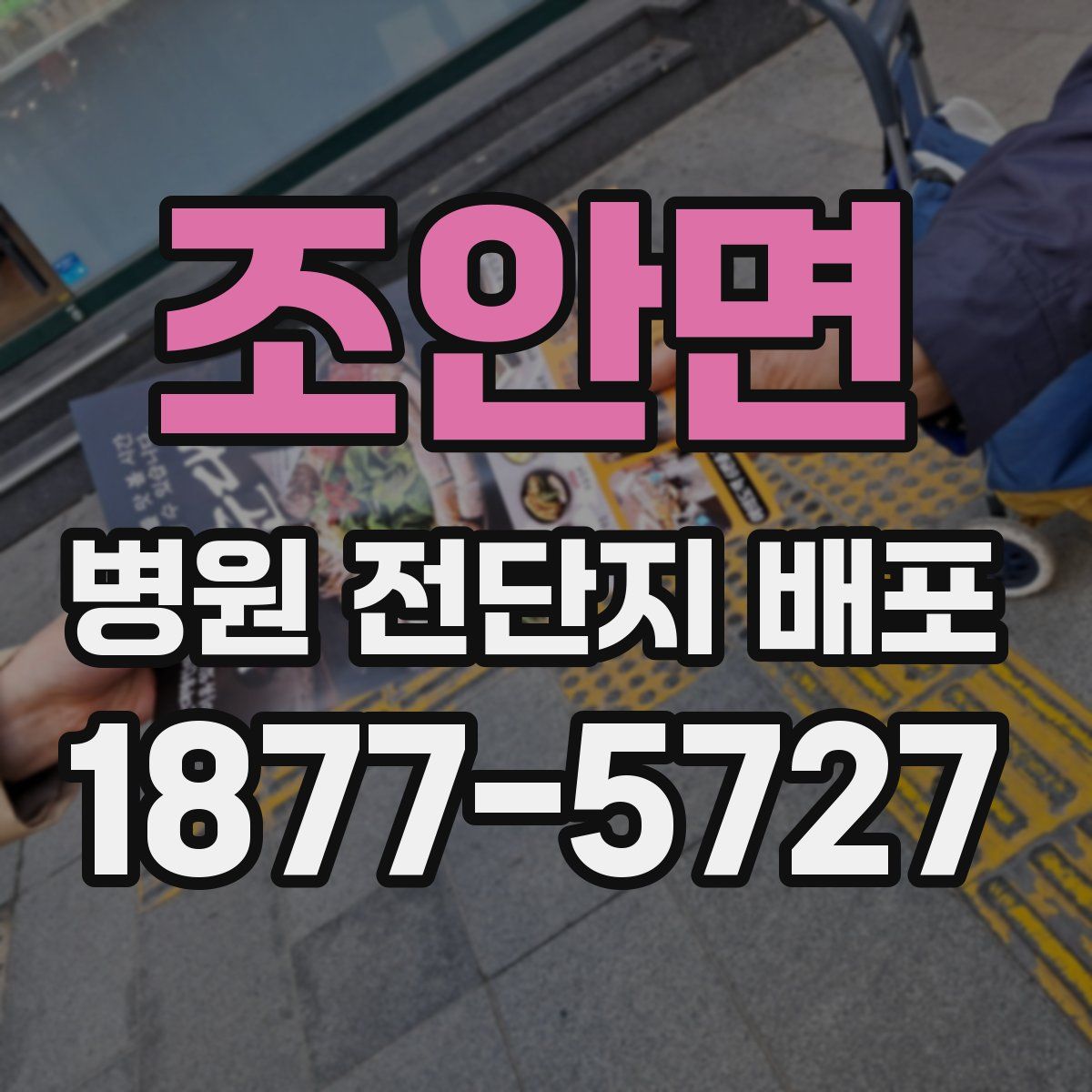 조안면 병원 전단지 배포