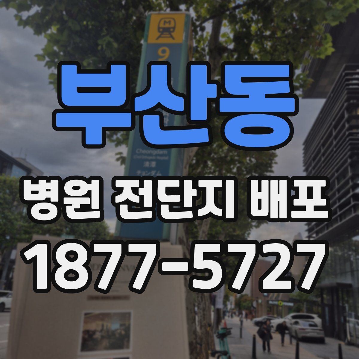 부산동 병원 전단지 배포
