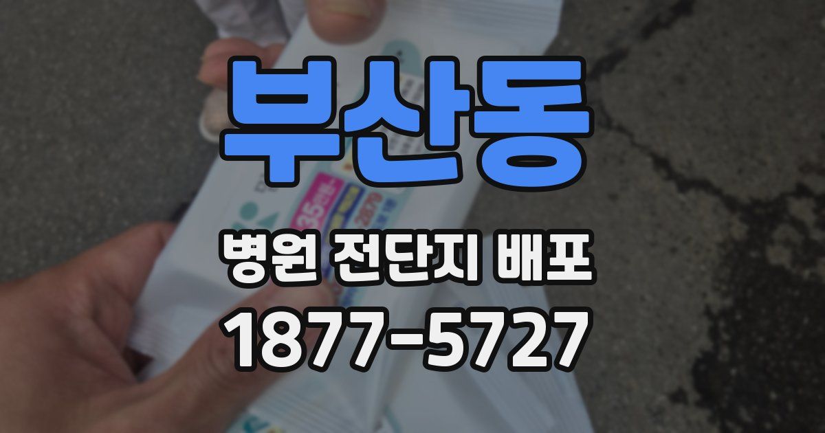 부산동 병원 전단지 배포