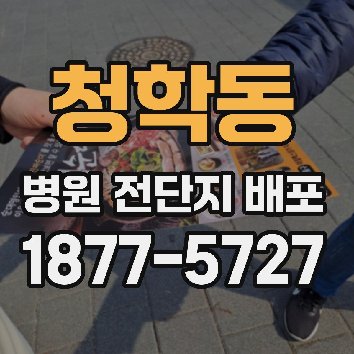 청학동 병원 전단지 배포