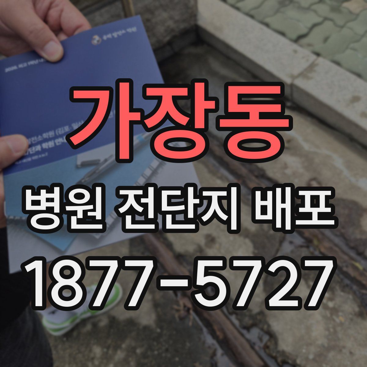 가장동 병원 전단지 배포