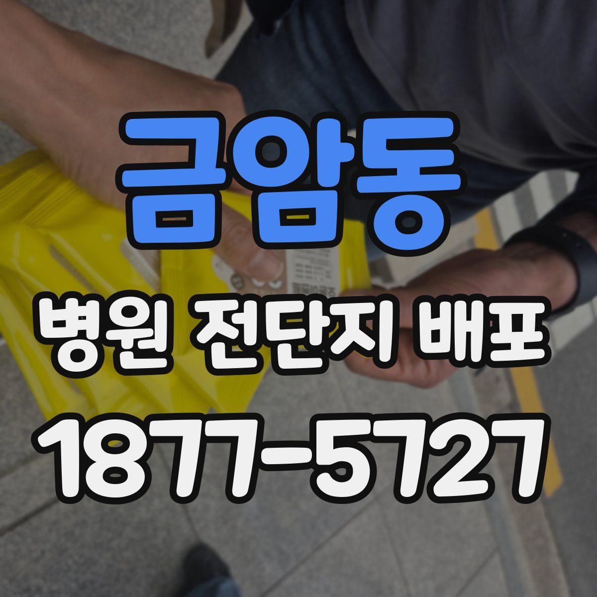금암동 병원 전단지 배포