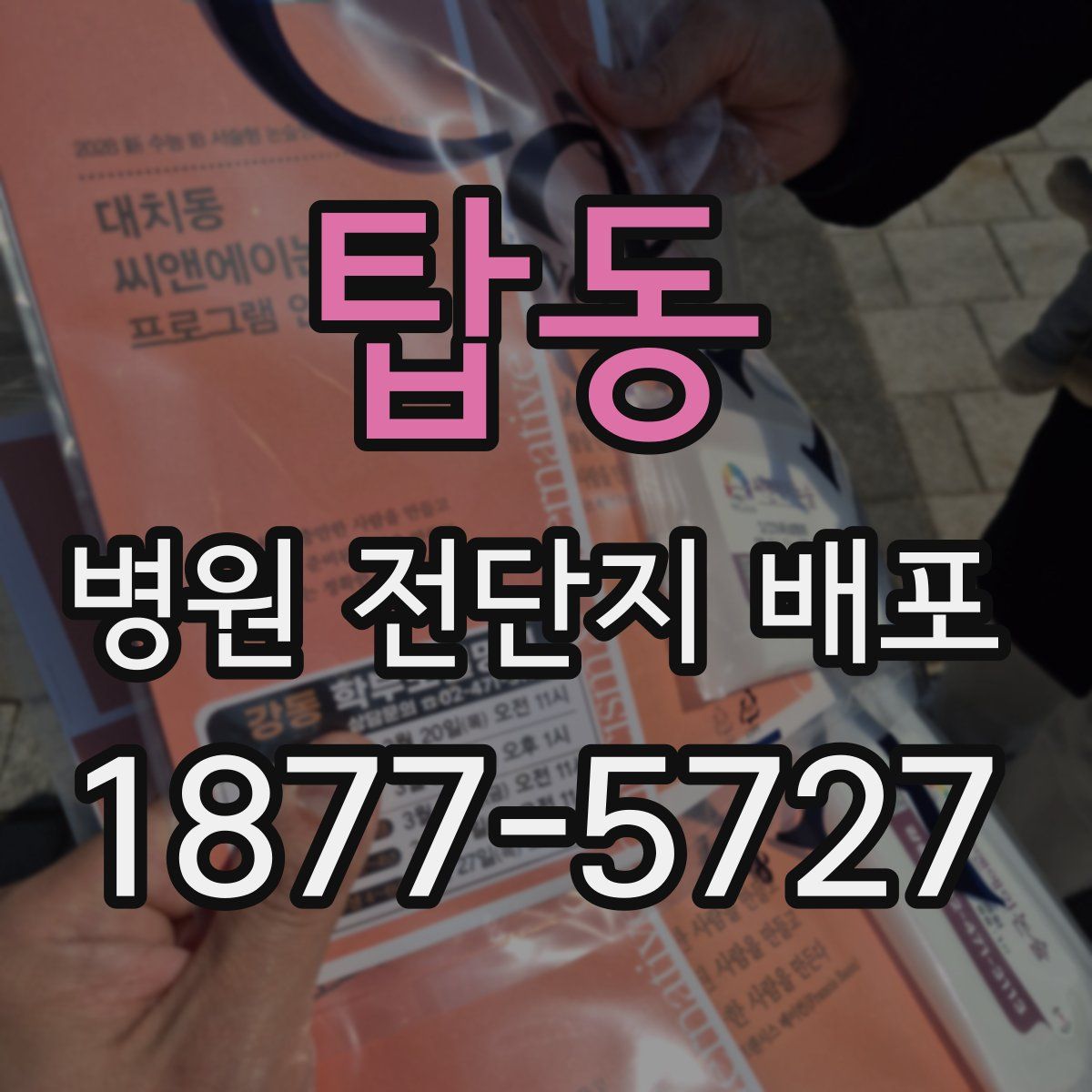 탑동 병원 전단지 배포