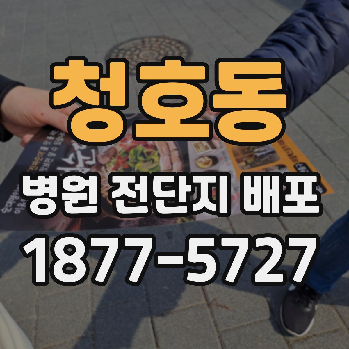 청호동 병원 전단지 배포