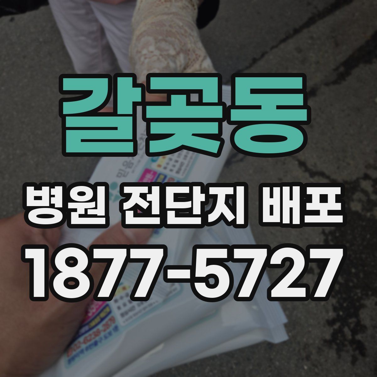 갈곶동 병원 전단지 배포