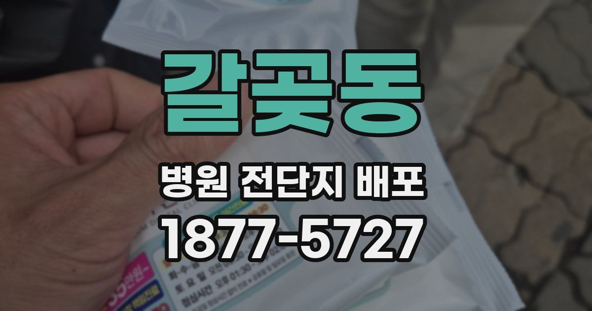 갈곶동 병원 전단지 배포