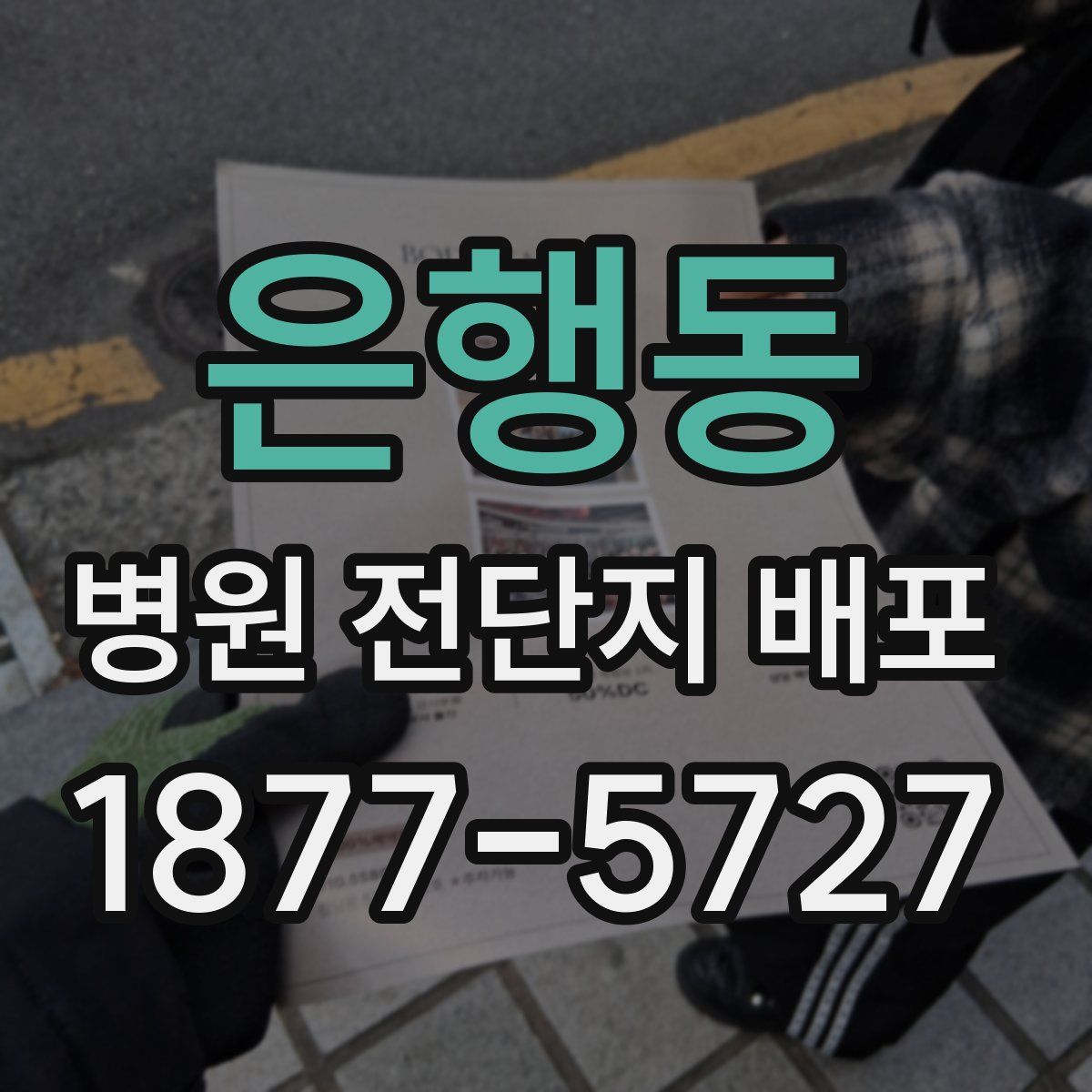 은행동 병원 전단지 배포