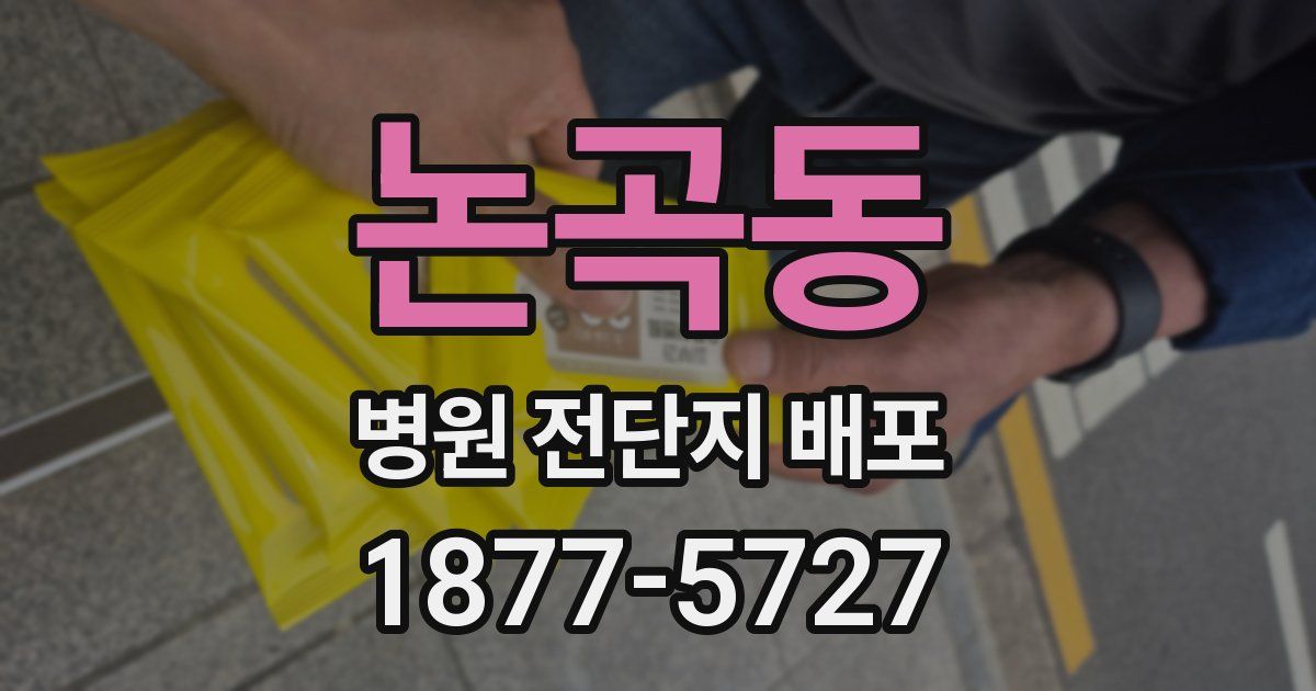 논곡동 병원 전단지 배포