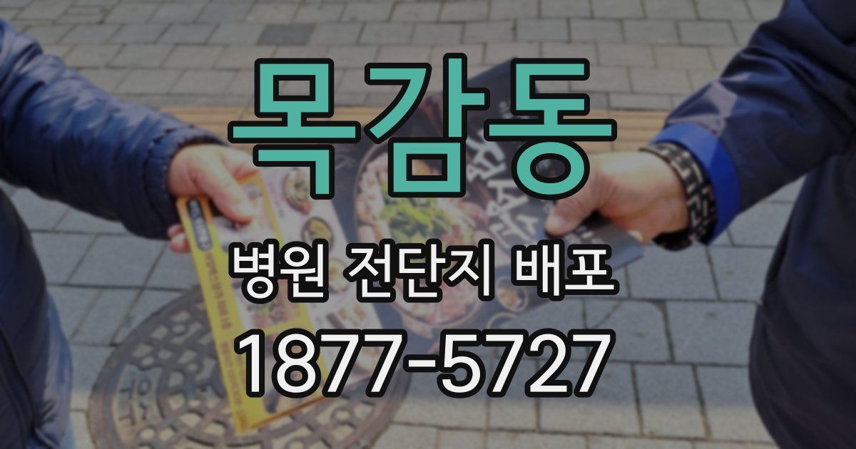 목감동 병원 전단지 배포