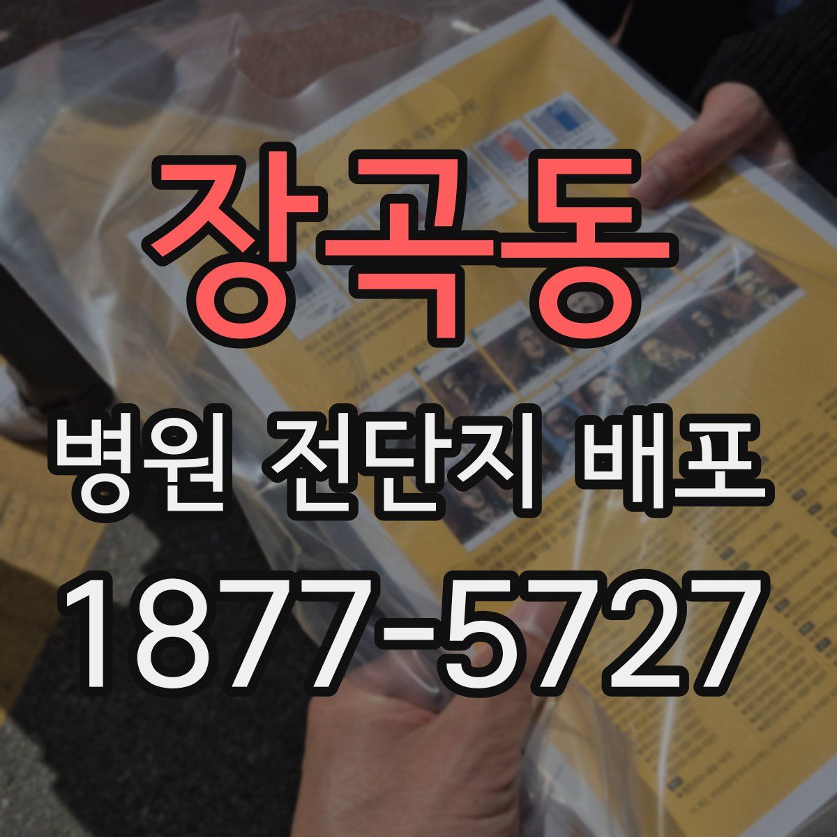 장곡동 병원 전단지 배포