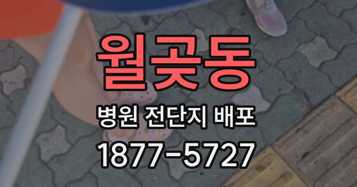 월곶동 병원 전단지 배포