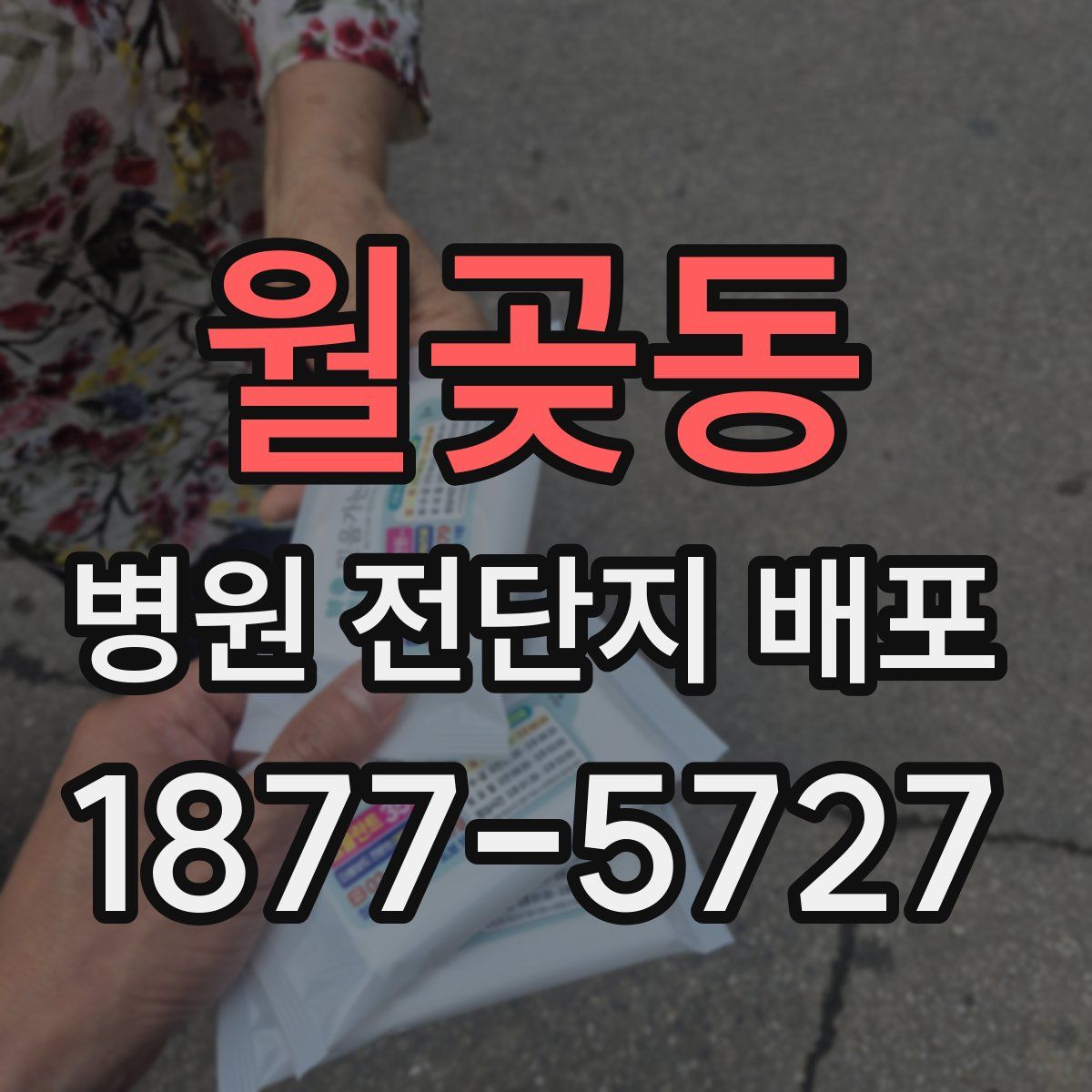 월곶동 병원 전단지 배포
