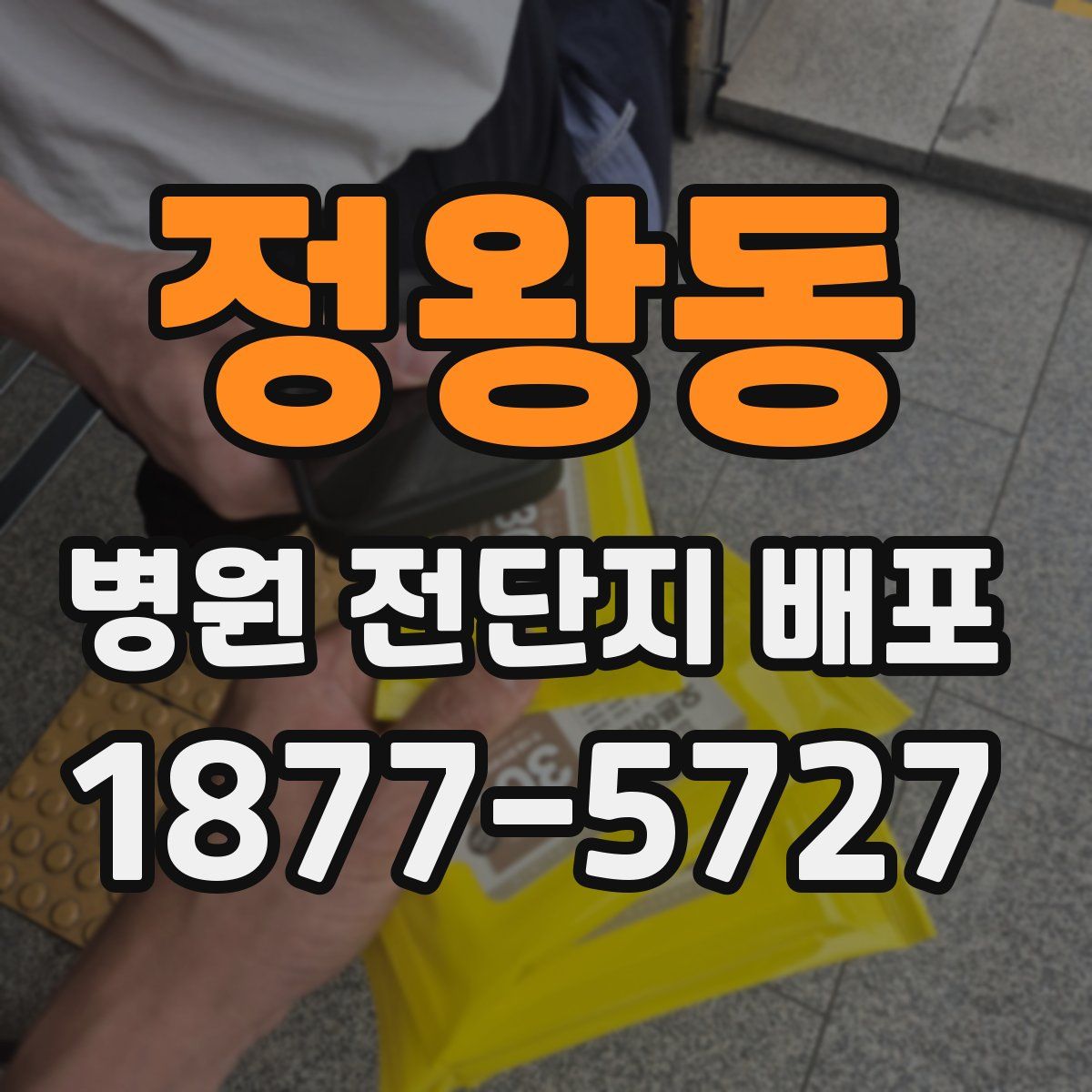 정왕동 병원 전단지 배포