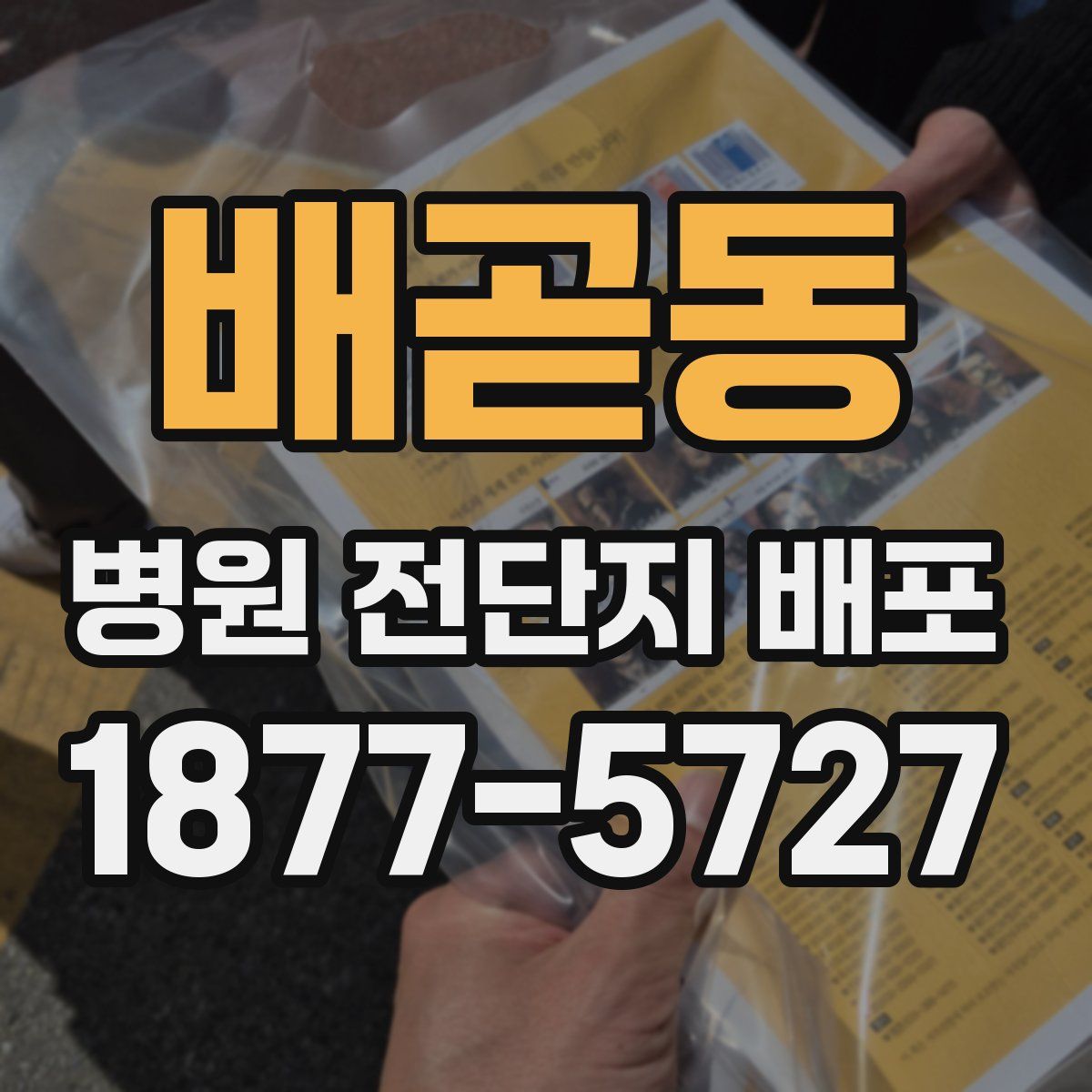 배곧동 병원 전단지 배포