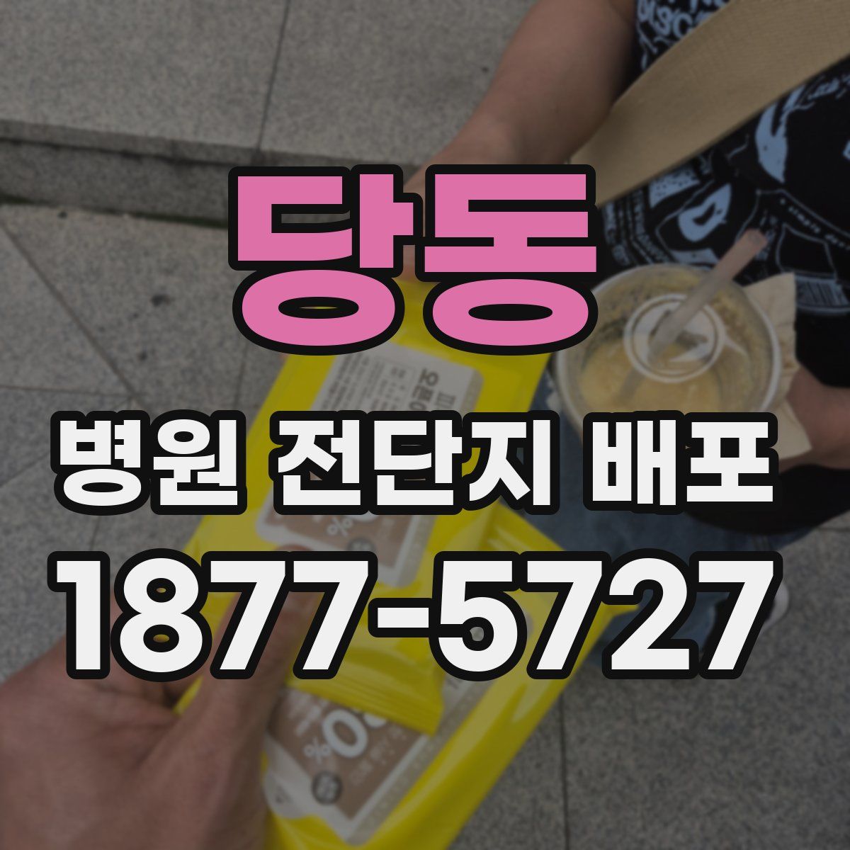 당동 병원 전단지 배포