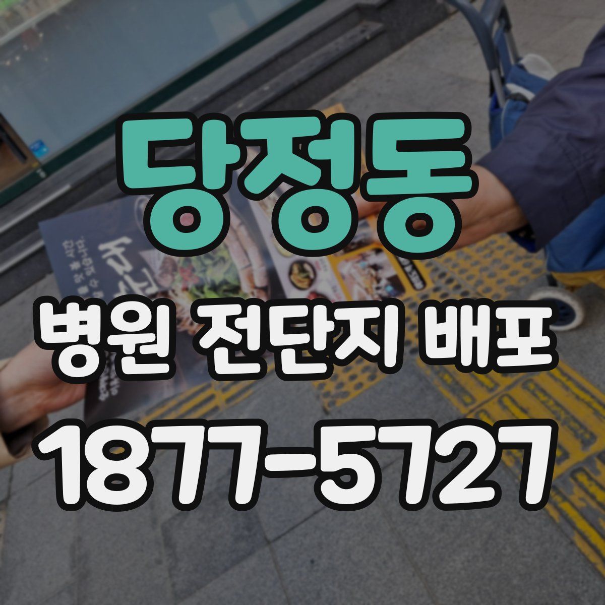 당정동 병원 전단지 배포