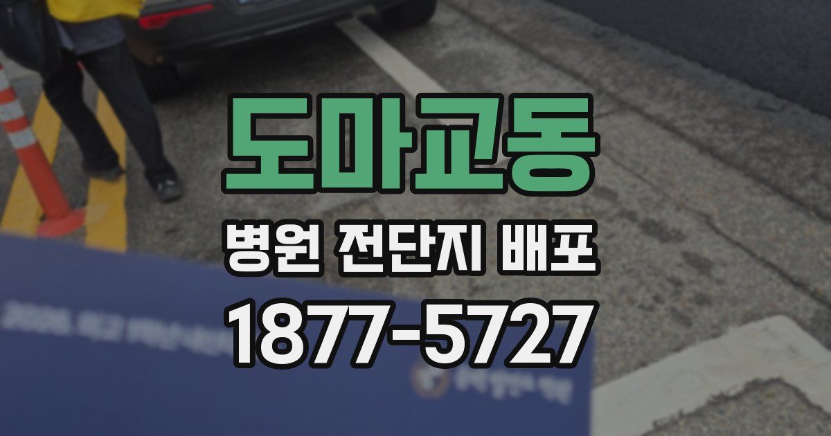 도마교동 병원 전단지 배포