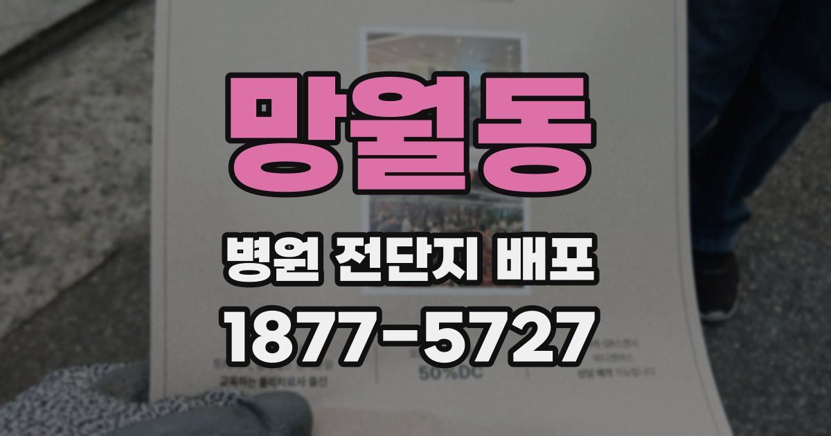 망월동 병원 전단지 배포