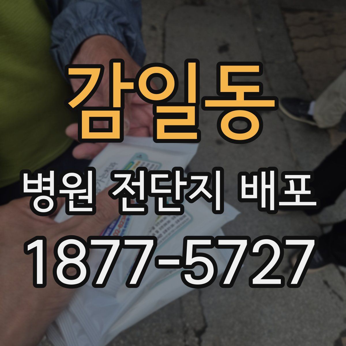 감일동 병원 전단지 배포