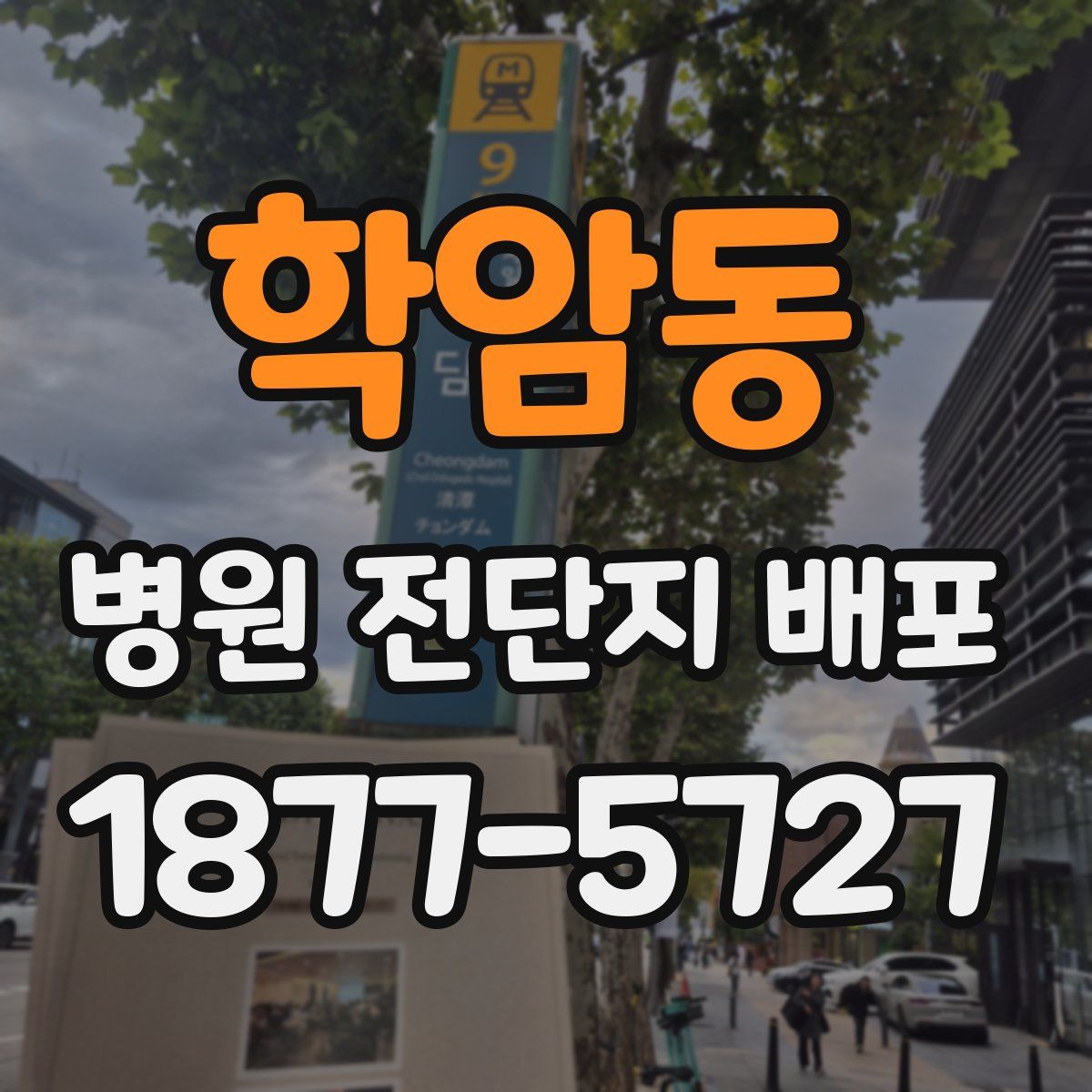 학암동 병원 전단지 배포