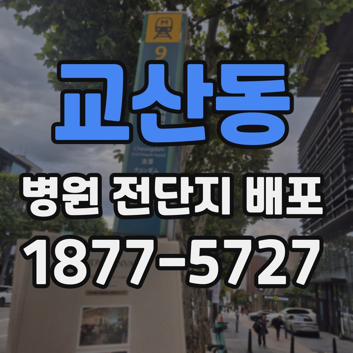 교산동 병원 전단지 배포