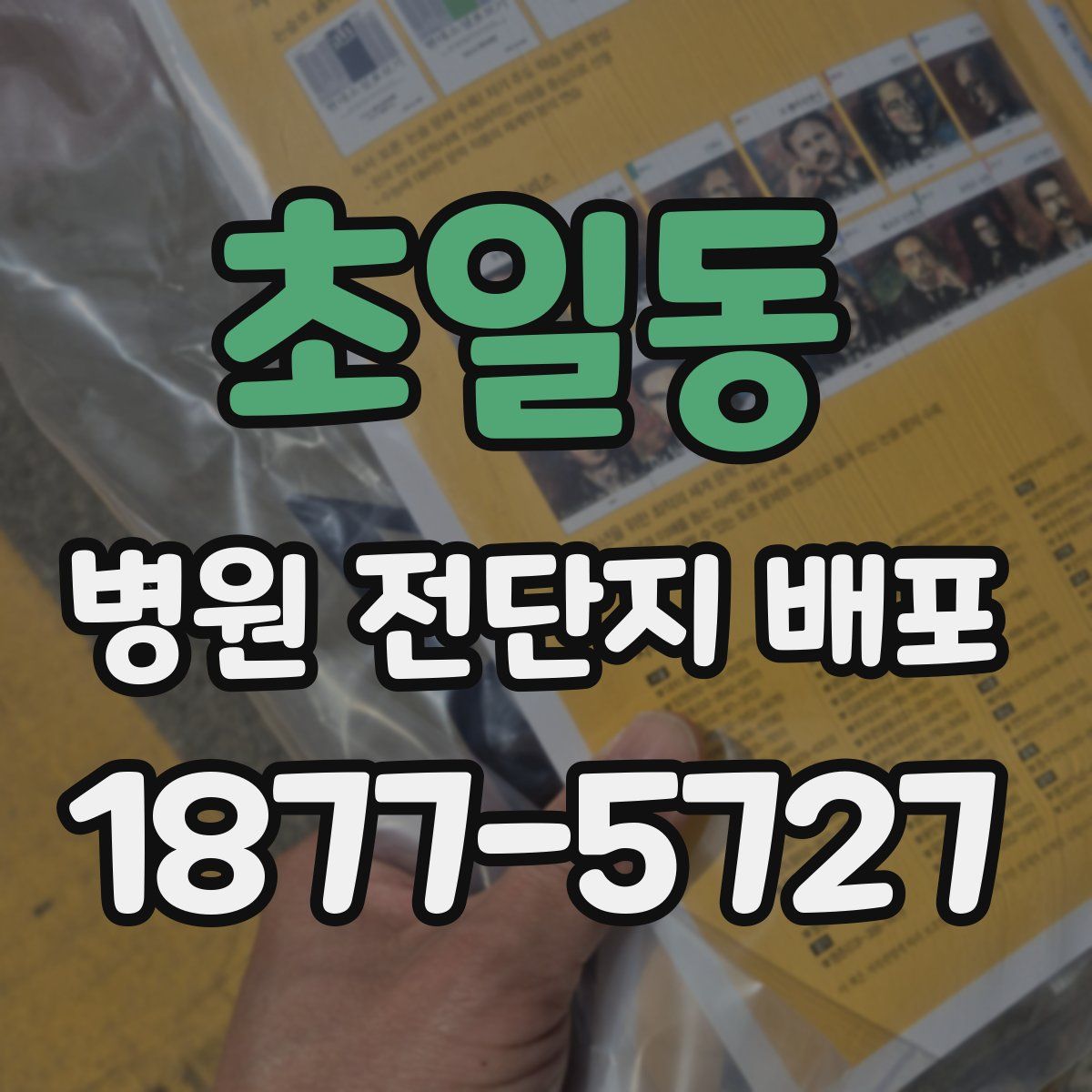 초일동 병원 전단지 배포